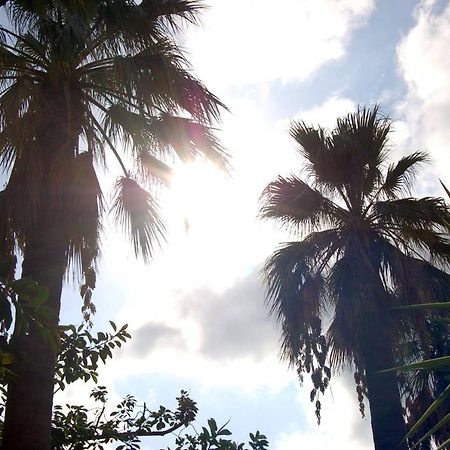 Il Giardino Del Sole Villa Agnone Bagni Eksteriør bilde