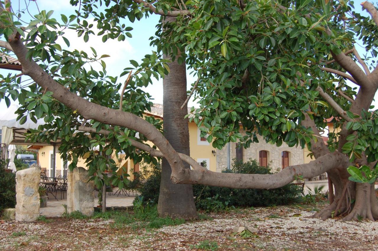 Il Giardino Del Sole Villa Agnone Bagni Eksteriør bilde