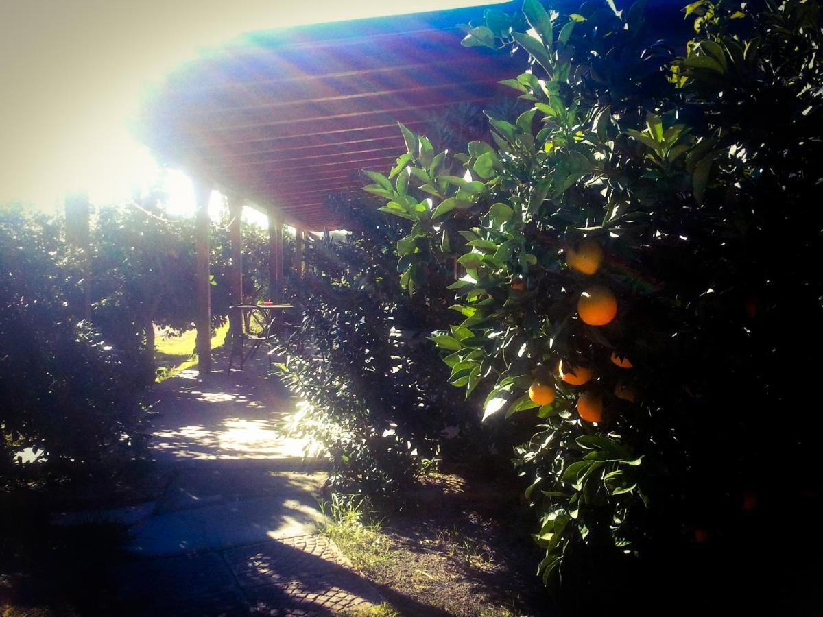 Il Giardino Del Sole Villa Agnone Bagni Eksteriør bilde