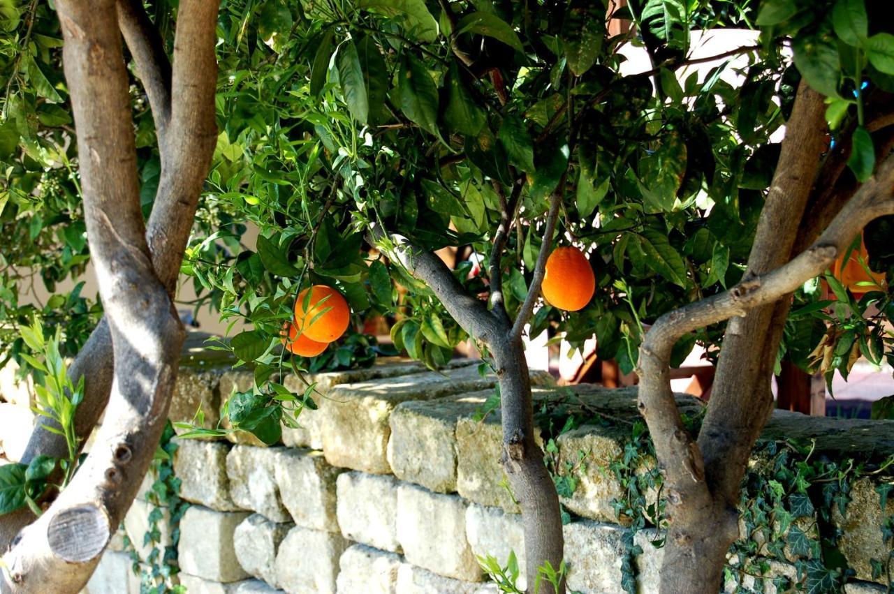 Il Giardino Del Sole Villa Agnone Bagni Eksteriør bilde